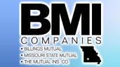 BMI Companies